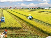 Tối ưu phân bố đất canh tác giúp giảm thiểu tác động môi trường